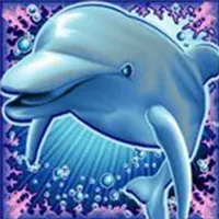 dolphin-reef-wild-symbol
