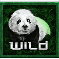bamboo-bear-wild