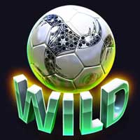 world-cup-football-wild