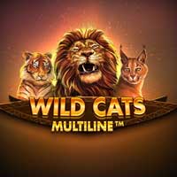 wild-cats-multiline