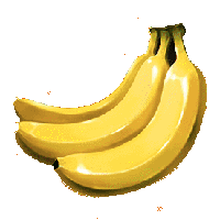 fruit-macau-banane