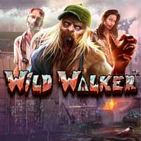 wild-walker