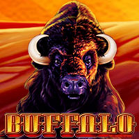 buffalo-slot