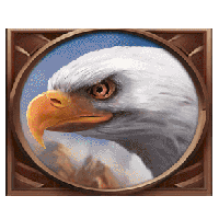 15-armadillos-eagle