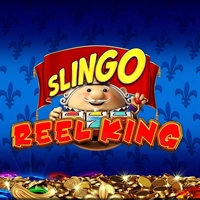 slingo-reel-king-slot