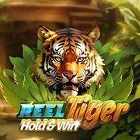reel-tiger-hold-and-win-slot