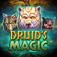 druids-magic-slot