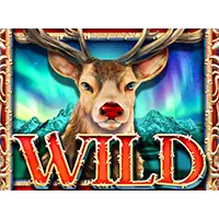 million-christmas-2023-wild